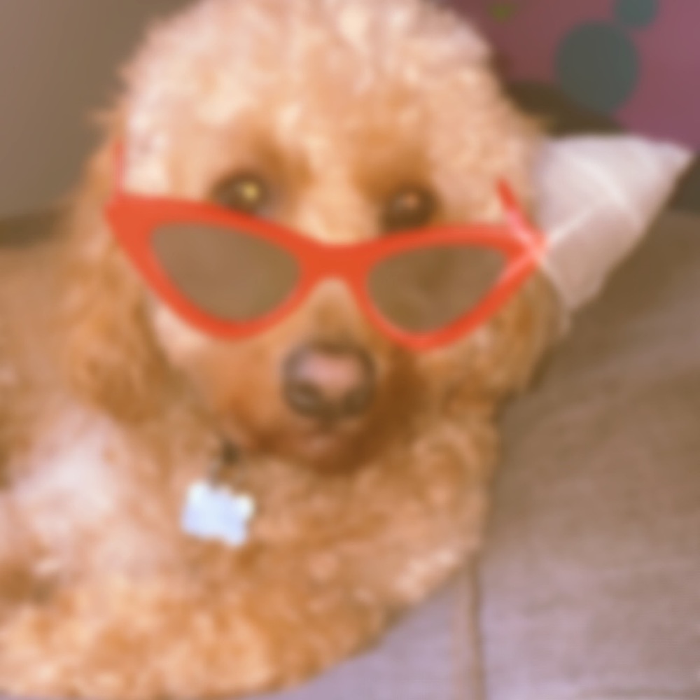 Meet your Posher, Jamie